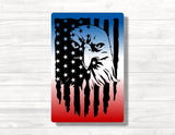 American Flag Eagle Split Wood Print
