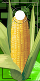 CornCob Cornhole Wrap