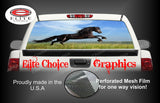 Horse Jump Rear Window Wrap