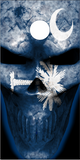 South Carolina Flag Skull UV Direct Print Cornhole Tops