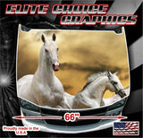 Horse 1 Vinyl Hood Wrap Bonnet Decal Sticker Graphic Universal Fit
