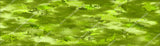 Chameleon Hex 3 Green 15"x52" or 24"x52" Truck/Pattern Print Tree Real Camouflage Sticker Roll or Sheet